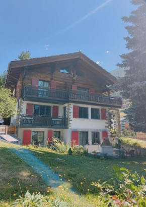 Wohnung Tchiyaka Zermatt